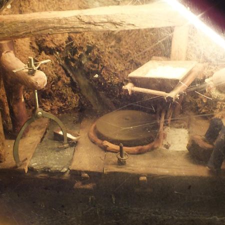 בית הארחה San Martín de Castañeda 	El Recreo De San Martin Sl מראה חיצוני תמונה